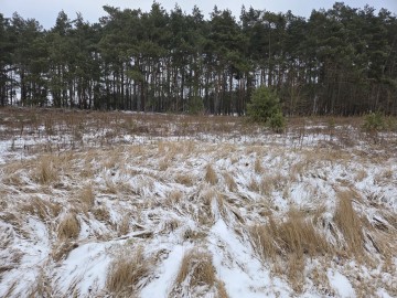 Działka Budowlana Żdżary 10 ar Ul.Jeżynowa
