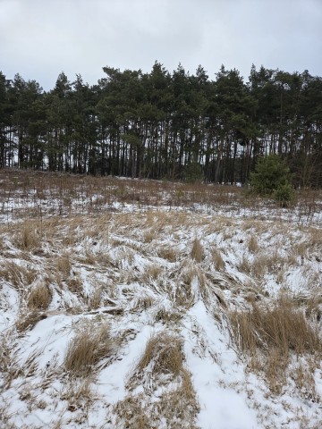 Działka Budowlana Żdżary 10 ar Ul.Jeżynowa