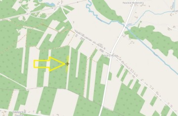 Na sprzedaż grunt rolny zadrzewiony sosną - Obory, gm. Wierz ...