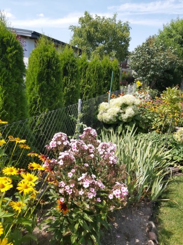 Działka ROD na sprzedaż Konin Żychlin.