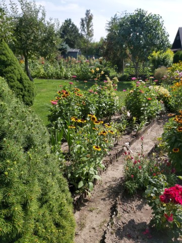 Działka ROD na sprzedaż Konin Żychlin.