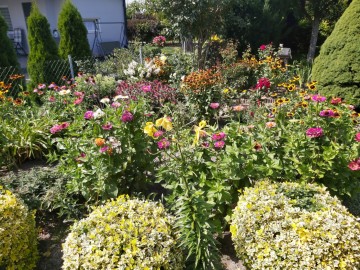 Działka ROD na sprzedaż Konin Żychlin.