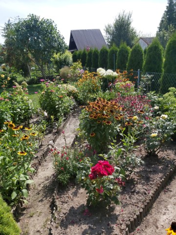 Działka ROD na sprzedaż Konin Żychlin.