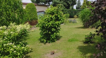 Działka 3ar przy ul Świętojańskiej pod lasem