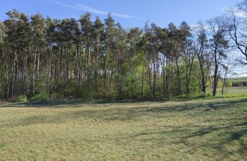 WYJĄTKOWY DOM Z ANTRESOLĄ POD LASEM – PRZYBYŁÓW