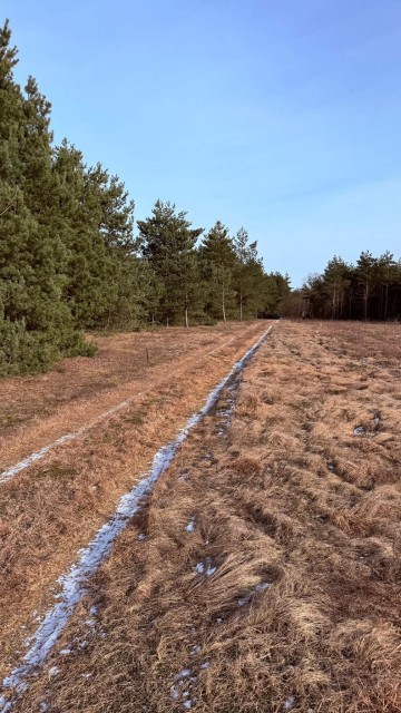 Działka budowlana Rosocha-Kolonia