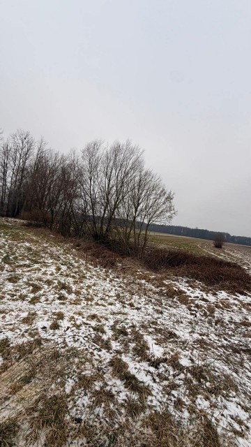 Siedlisko 1,66 ha z Lasem i Działką Budowlaną Milejewo