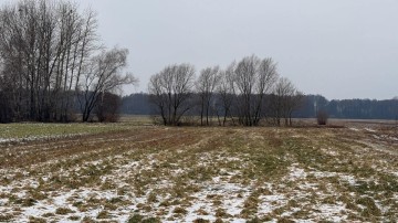 Siedlisko 1,66 ha z Lasem i Działką Budowlaną Milejewo