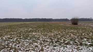 Siedlisko 1,66 ha z Lasem i Działką Budowlaną Milejewo