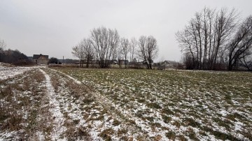 Siedlisko 1,66 ha z Lasem i Działką Budowlaną Milejewo