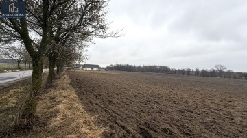 Sprzedam działki budowlane z WZ - Radwaniec, gm. Kazimierz