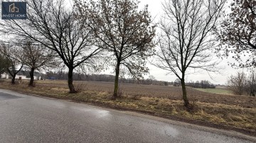 Sprzedam działki budowlane z WZ - Radwaniec, gm. Kazimierz