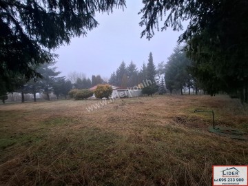 Na sprzedaż działka z domkiem letniskowym-gm. Wilczyn