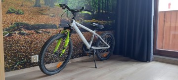 Rower b'tween between, koła 20