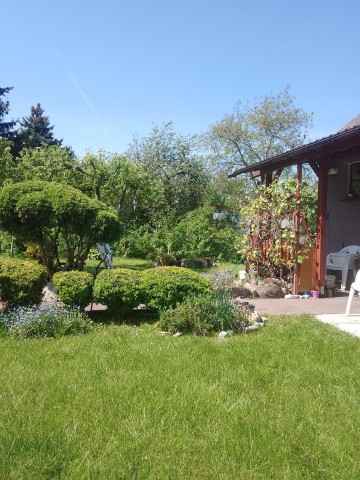 Sprzedam działkę ROD