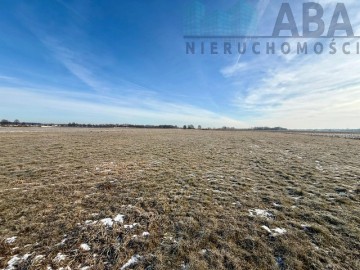 Duża działka w Słodkowie na sprzedaż