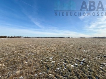 Duża działka w Słodkowie na sprzedaż