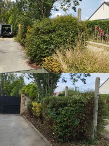 Usługi ogrodnicze 605 767 264