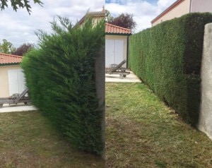 Usługi ogrodnicze 605 767 264