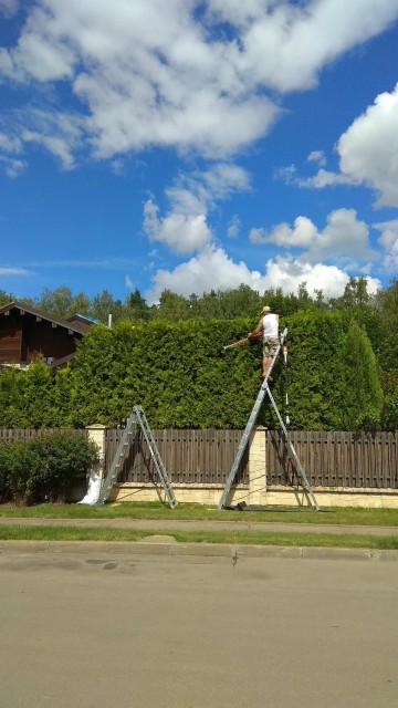 Usługi ogrodnicze 605 767 264