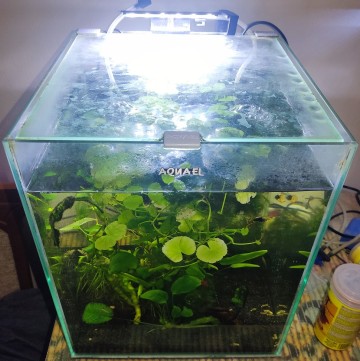 Akwarium 30l (AQUAEL) z oświetleniem led