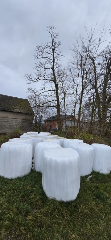 Sianokiszonka,siano,żyto