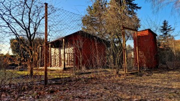 Działka rekreacyjna ROD ul. Świętojańska 49.