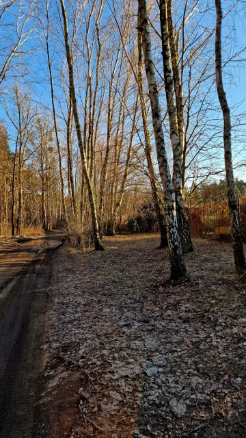 Działka rekreacyjna ROD ul. Świętojańska 49.