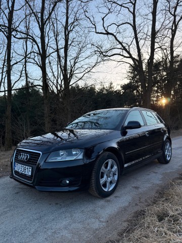 Audi A3 8P 2009r. 2.0 TDI CR