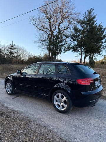 Audi A3 8P 2009r. 2.0 TDI CR