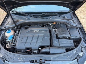 Audi A3 8P 2009r. 2.0 TDI CR