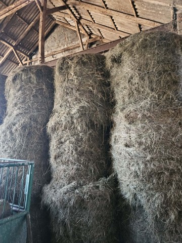 Sprzedam siano
