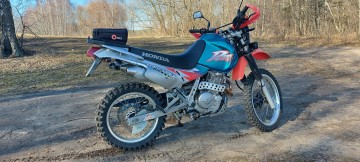 Honda 650 dominator