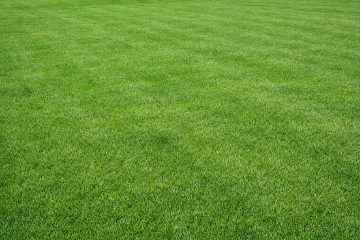 Prywatny Ogrodnik Koło/Konin/Turek