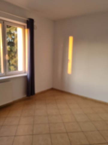 Wynajmę lokal na biuro.