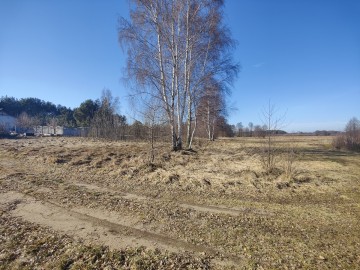 Sprzedam działkę w sąsiedztwie lasu i łąk -Rożek Krzymowski