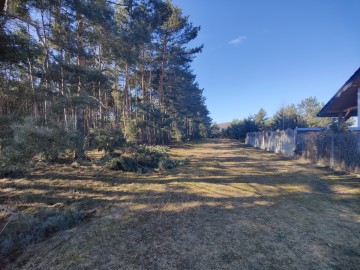 Sprzedam działkę w sąsiedztwie lasu i łąk -Rożek Krzymowski