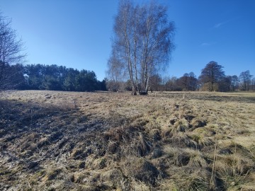 Sprzedam dużą działkę w sąsiedztwie lasu i łąk -gm. Krzym&oacute;w