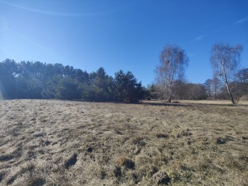 Sprzedam dużą działkę w sąsiedztwie lasu i łąk -gm. Krzym&oacute;w