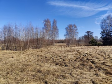 Sprzedam dużą działkę w sąsiedztwie lasu i łąk -gm. Krzym&oacute;w