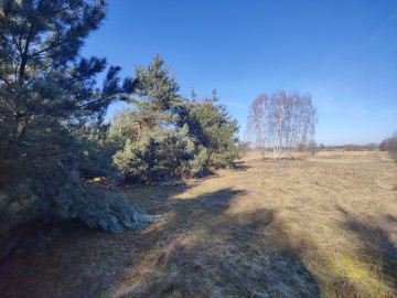 Sprzedam dużą działkę w sąsiedztwie lasu i łąk -gm. Krzym&oacute;w