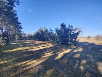 Sprzedam dużą działkę w sąsiedztwie lasu i łąk -gm. Krzym&oacute;w