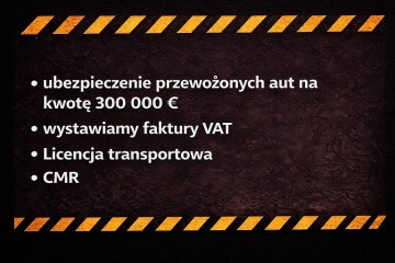 Przewóz osób Niemcy Belgia Holandia, transport pojazdów
