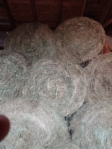 Siano i słoma w balotach