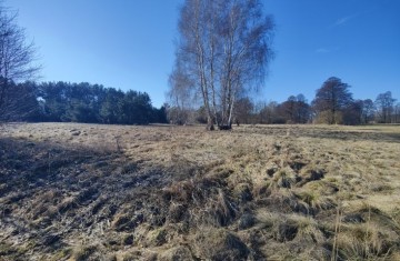 Na sprzedaż duża działka w sąsiedztwie lasu i łąk