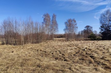 Na sprzedaż duża działka w sąsiedztwie lasu i łąk