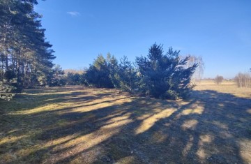 Na sprzedaż duża działka w sąsiedztwie lasu i łąk