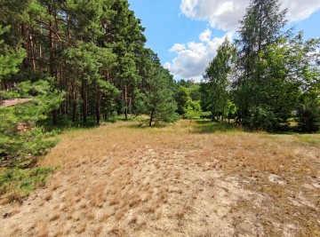 Na sprzedaż działka budowlana w sąsiedztwie las&oacute;w i jeziora