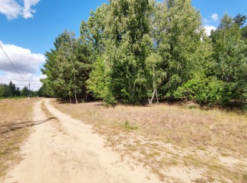 Na sprzedaż działka budowlana w sąsiedztwie las&oacute;w i jeziora