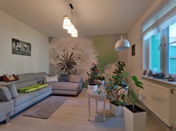 Dom w pobliżu jezior, zagospodarowana działka, dwa garaże